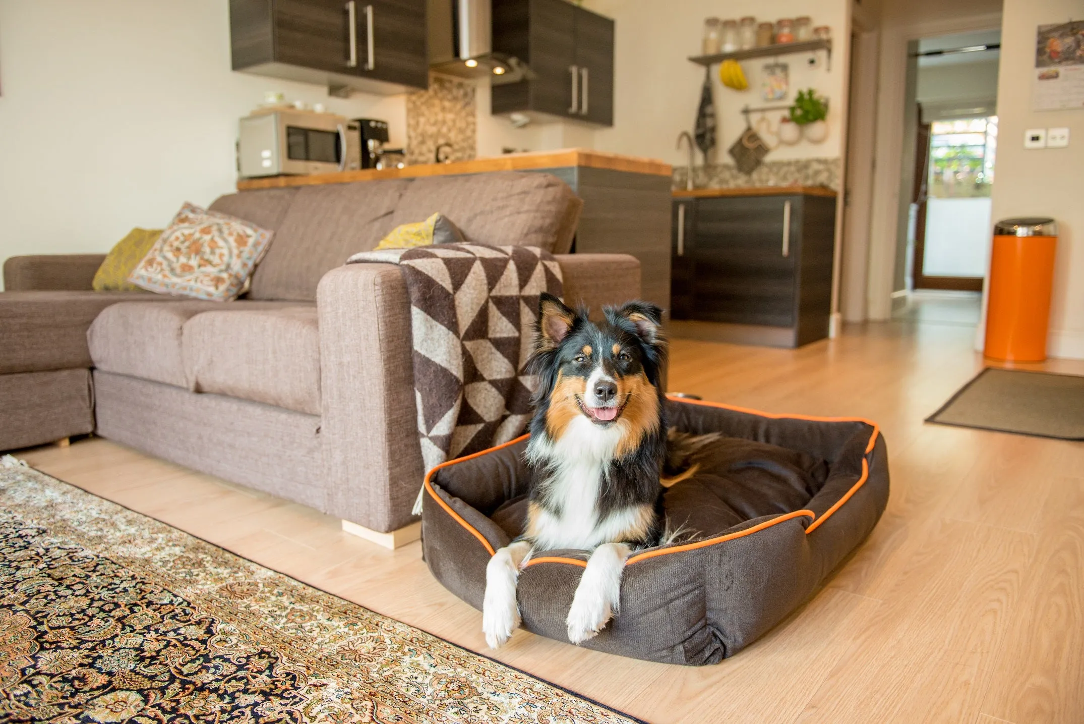 Urban Plush Lounge Bed