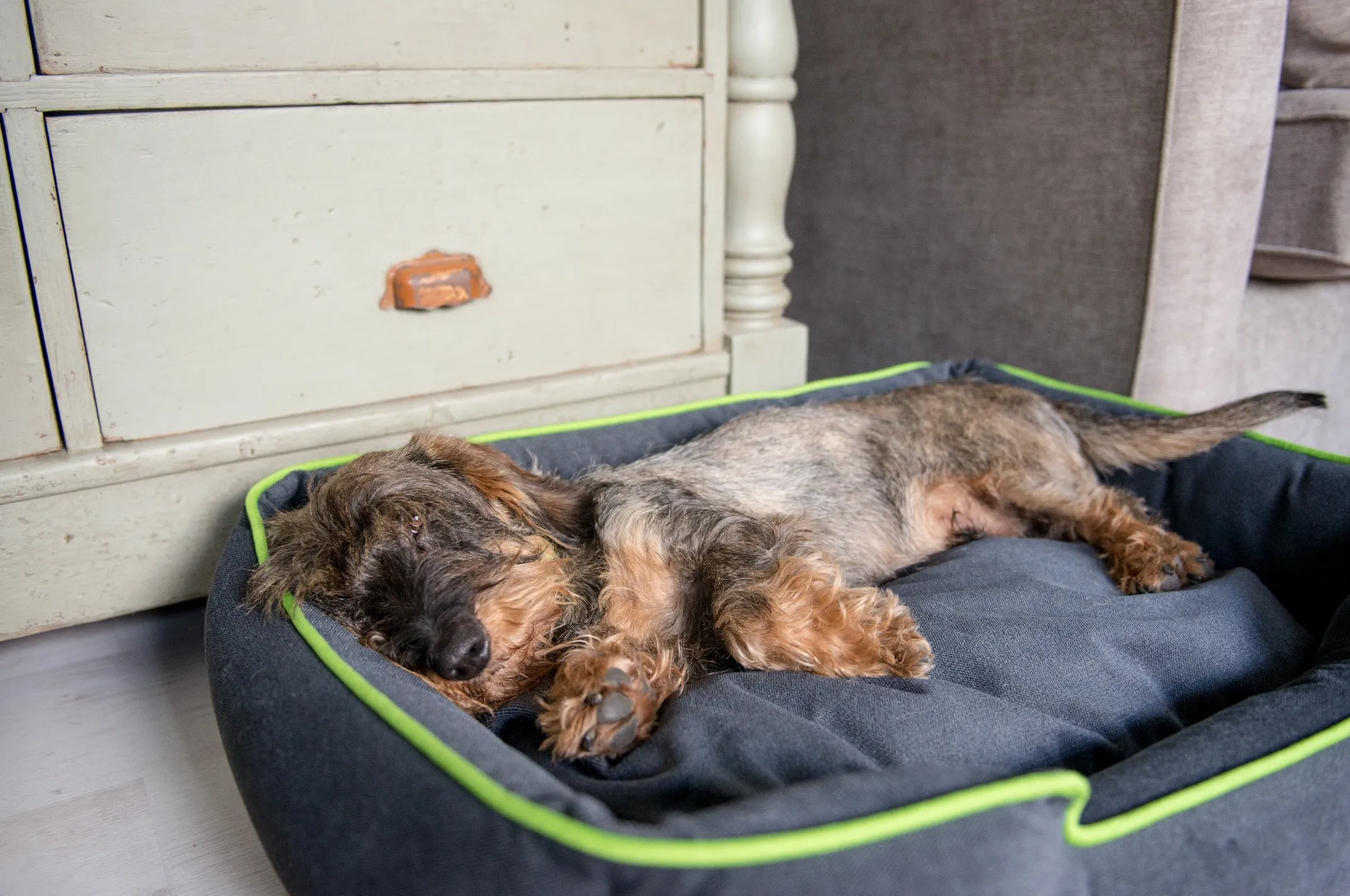 Urban Plush Lounge Bed
