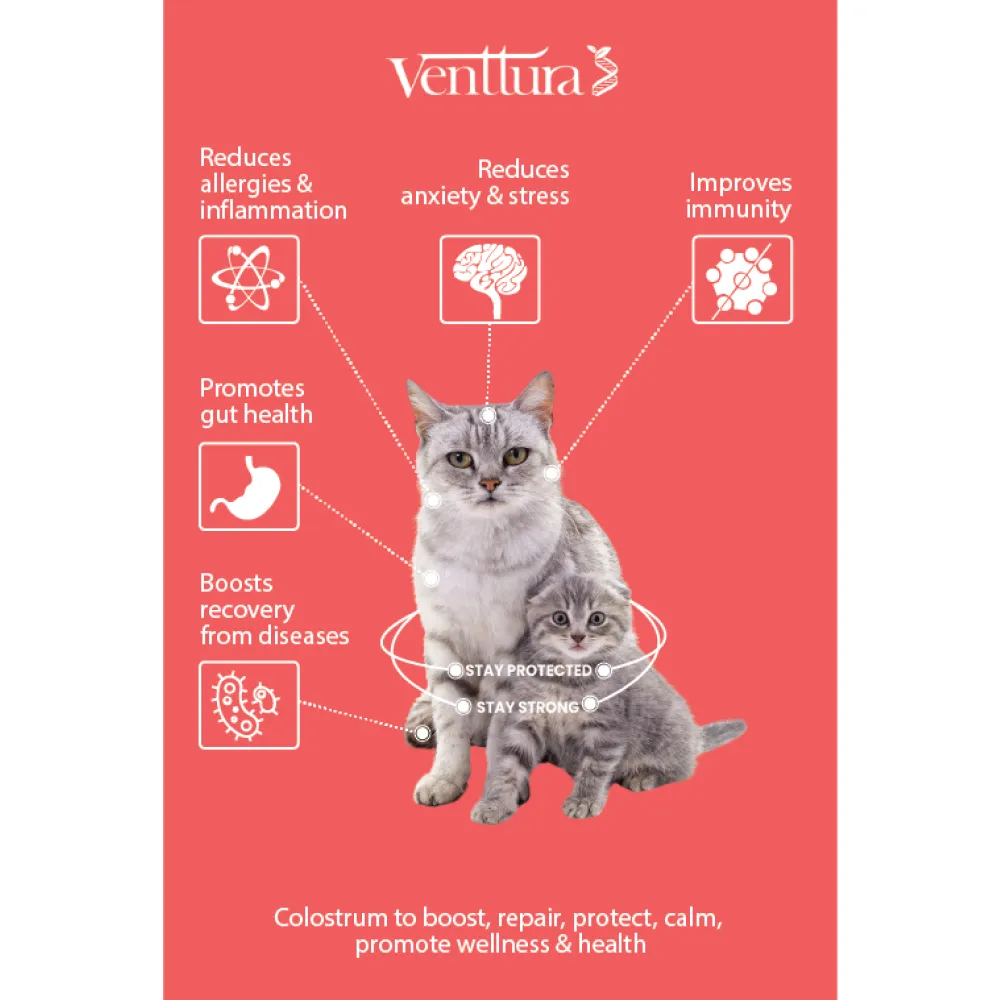Venttura Immunity Booster & Calming Supplement for Cats