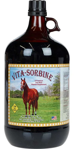 VITA-SORBINE VITAMIN SUPPLEMENT 200 MG B3 1 GAL