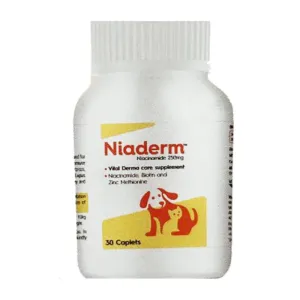 Vvaan Niaderm 500mg (Niacinamide) Capsules Derma Care Supplements for Dogs and Cats