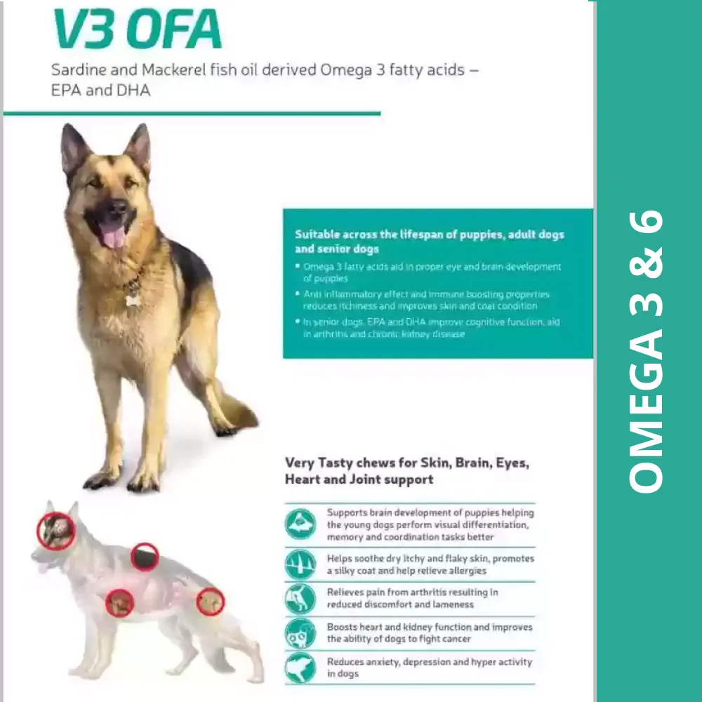 Vvaan V3 OFA Tablet Omega 3 & 6 Supplements for Dogs (pack of 40 tablets)