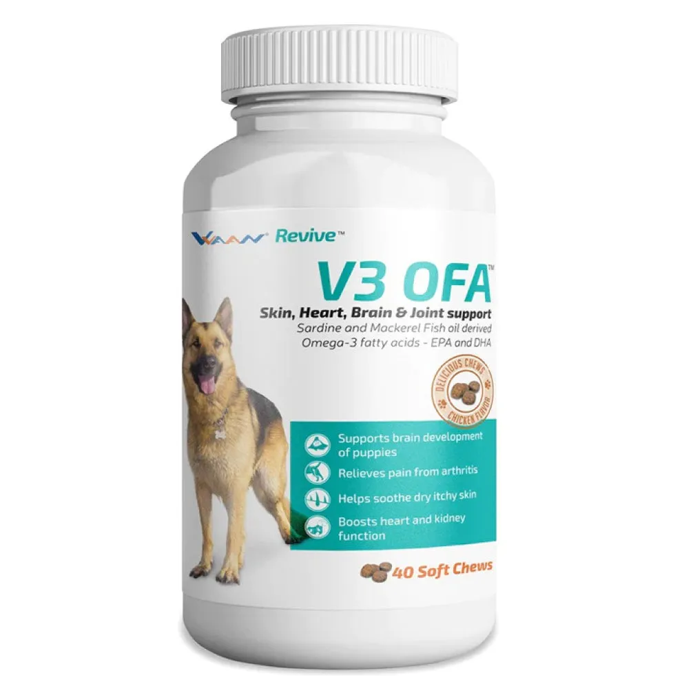 Vvaan V3 OFA Tablet Omega 3 & 6 Supplements for Dogs (pack of 40 tablets)