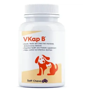 Vvaan Vkap B Digestive & Probiotics Supplements for Dogs & Cats
