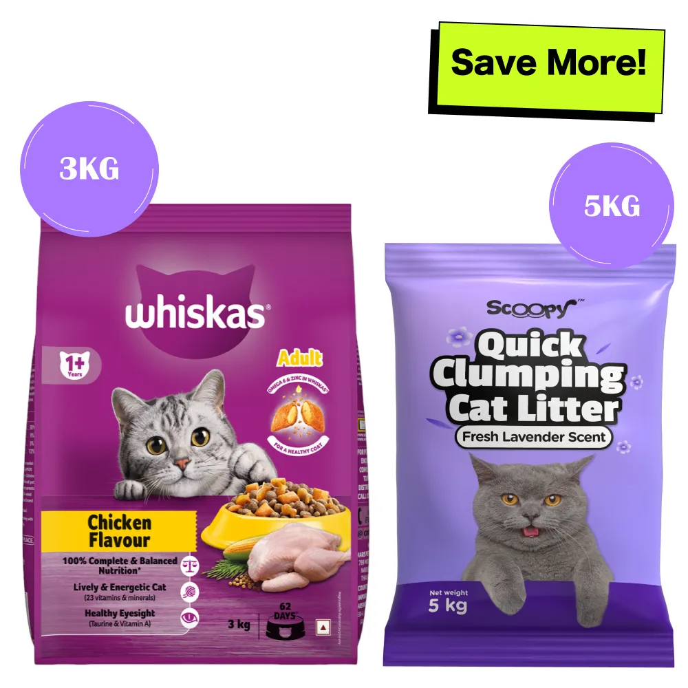 Whiskas Chicken Flavour Cat (Adult 1 ) Dry Food