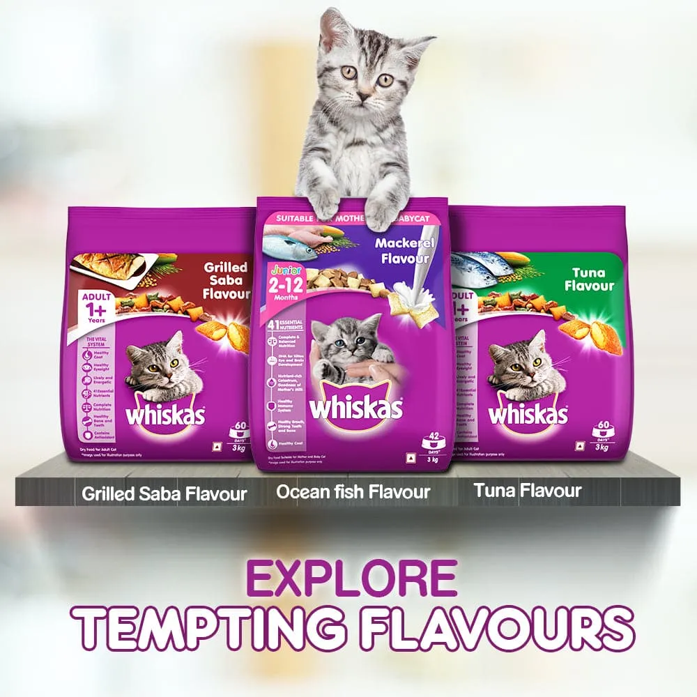 Whiskas Ocean Fish and Tuna Flavour Adult Cat Dry Food Combo