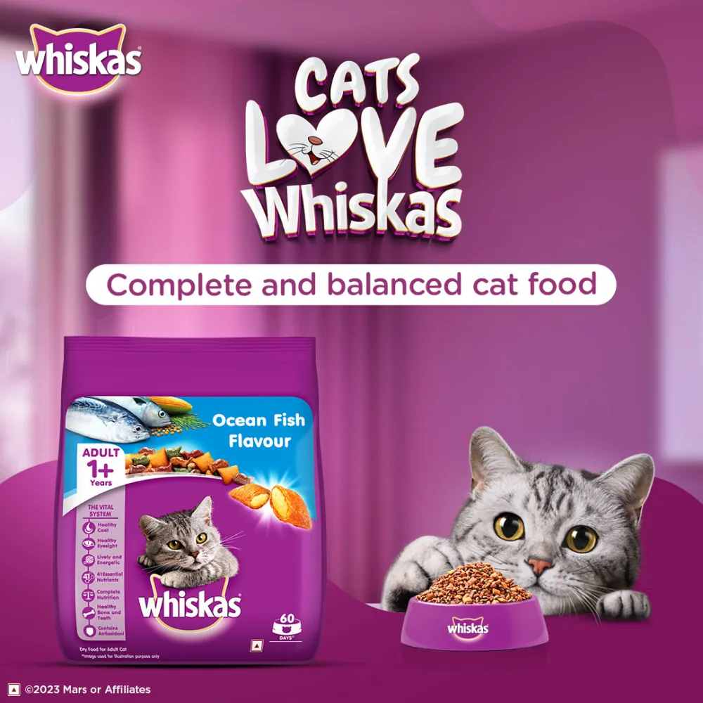 Whiskas Ocean Fish and Tuna in Jelly Meal Adult Cat Wet and Dry Food Combo