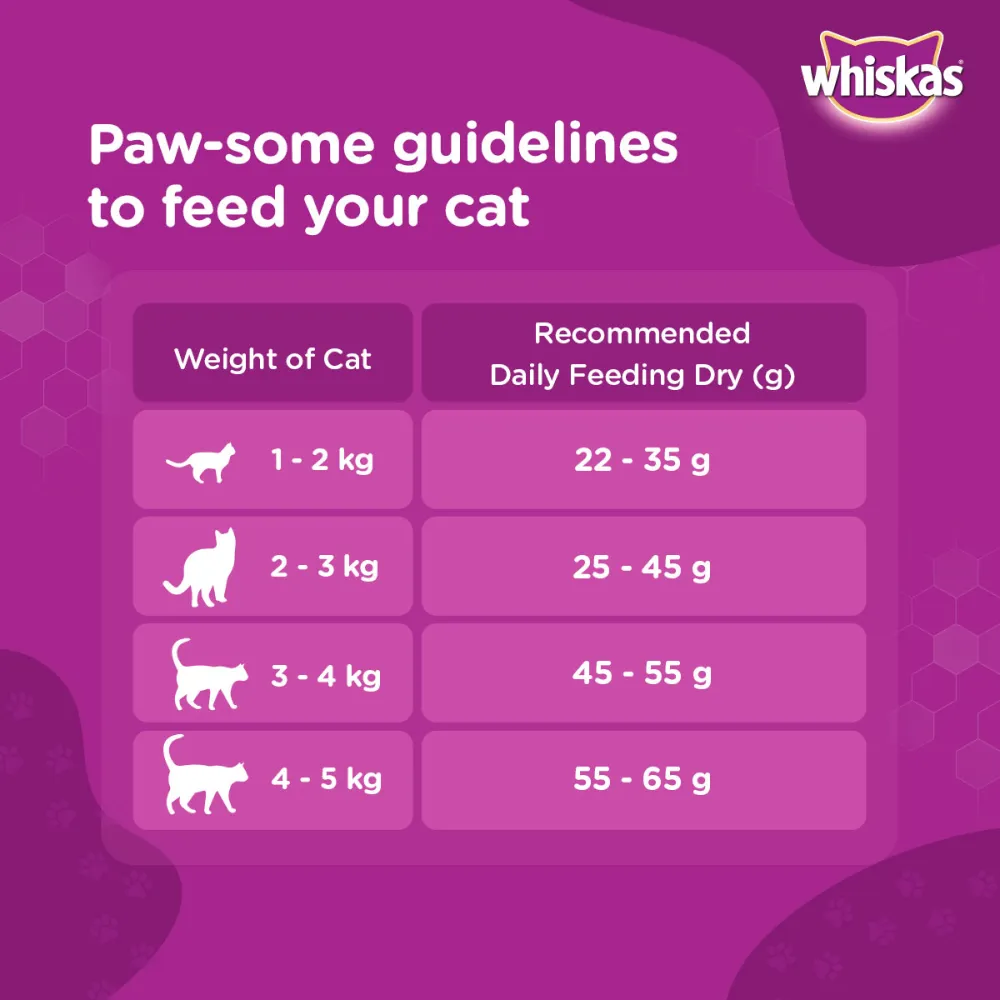 Whiskas Ocean Fish and Tuna in Jelly Meal Adult Cat Wet and Dry Food Combo