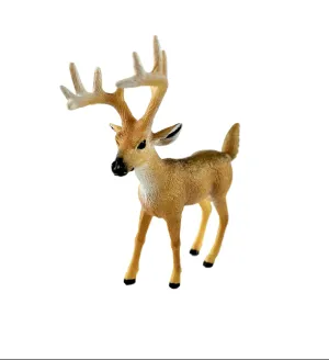 White-Tailed Buck W/ Box