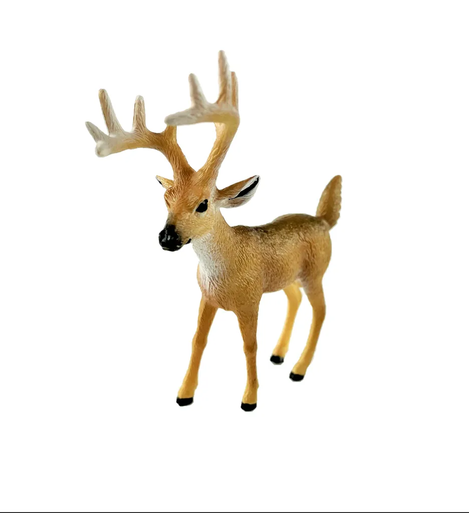 White-Tailed Buck W/ Box