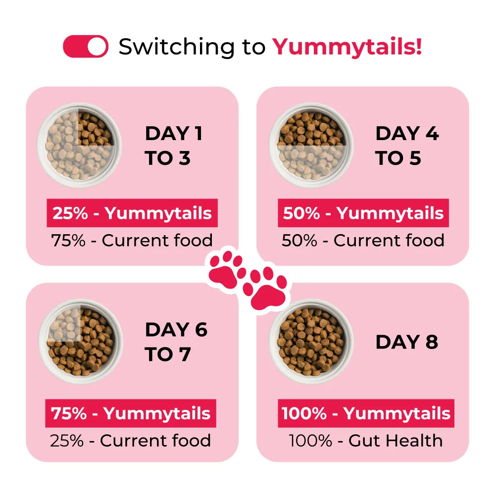 Yummytails Chicken and Fish Premium Adult Medium and Large Dog Dry Food
