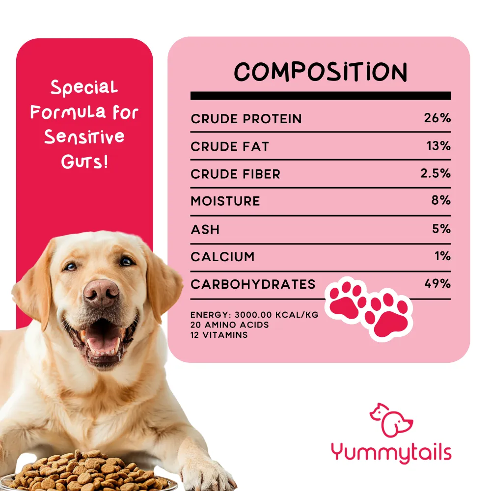 Yummytails Chicken and Fish Premium Adult Medium and Large Dog Dry Food