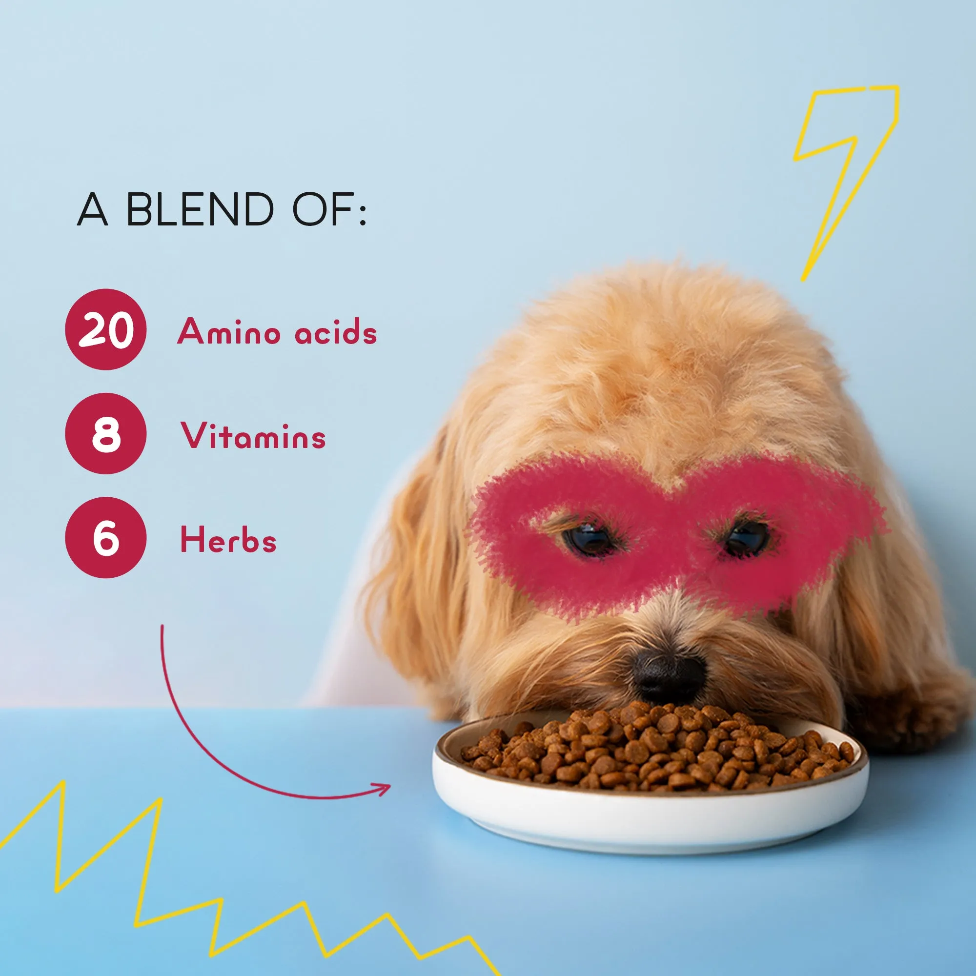 Yummytails Chicken and Fish Premium Adult Medium and Large Dog Dry Food