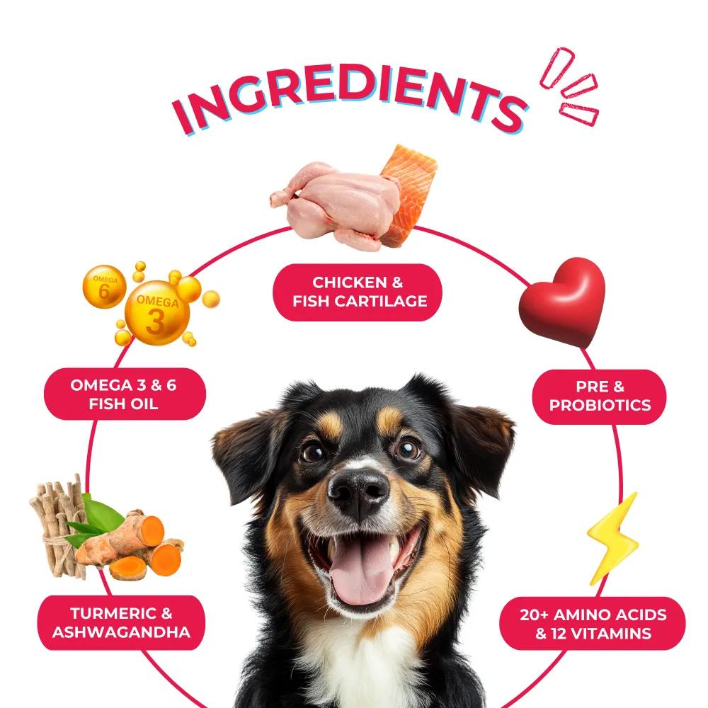 Yummytails Chicken and Fish Premium Adult Medium and Large Dog Dry Food