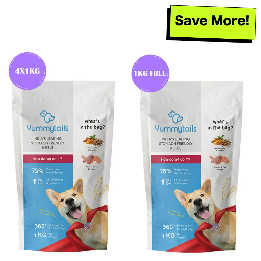 Yummytails Chicken and Fish Premium Adult Medium and Large Dog Dry Food