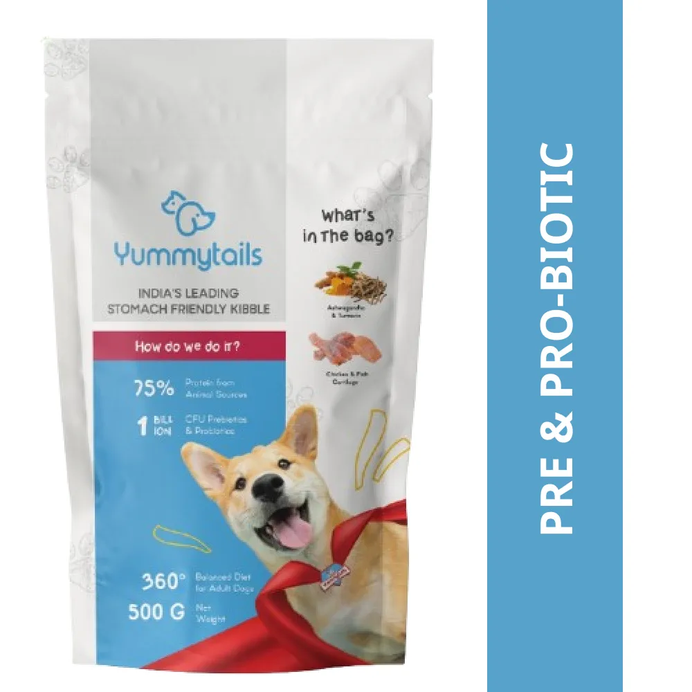 Yummytails Chicken and Fish Premium Adult Medium and Large Dog Dry Food