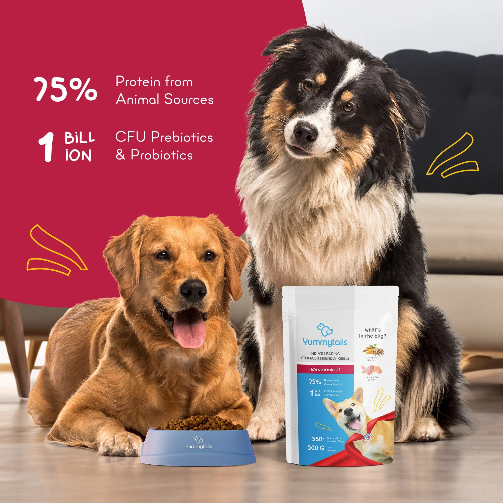 Yummytails Chicken and Fish Premium Adult Medium and Large Dog Dry Food