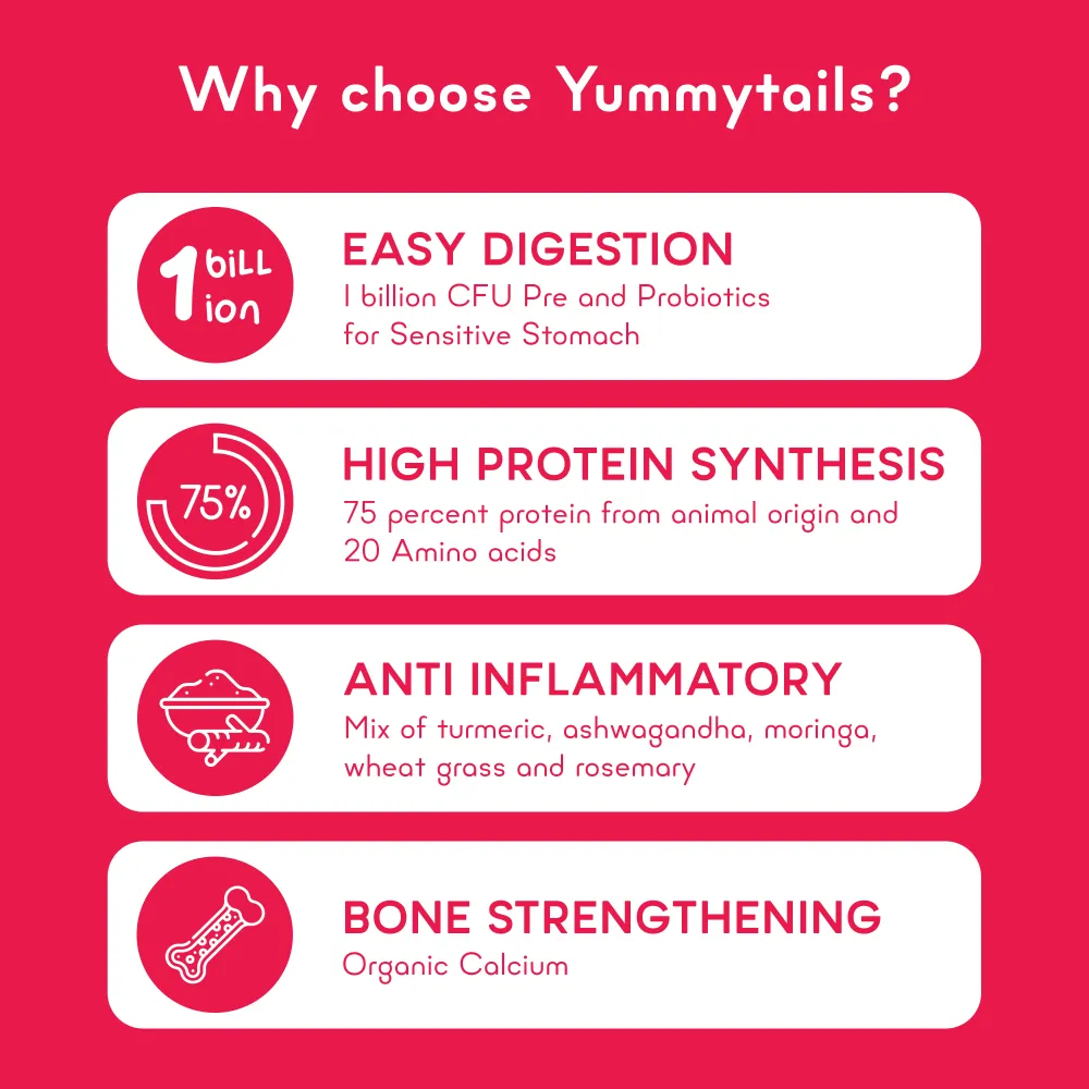 Yummytails Chicken and Fish Premium Adult Medium and Large Dog Dry Food