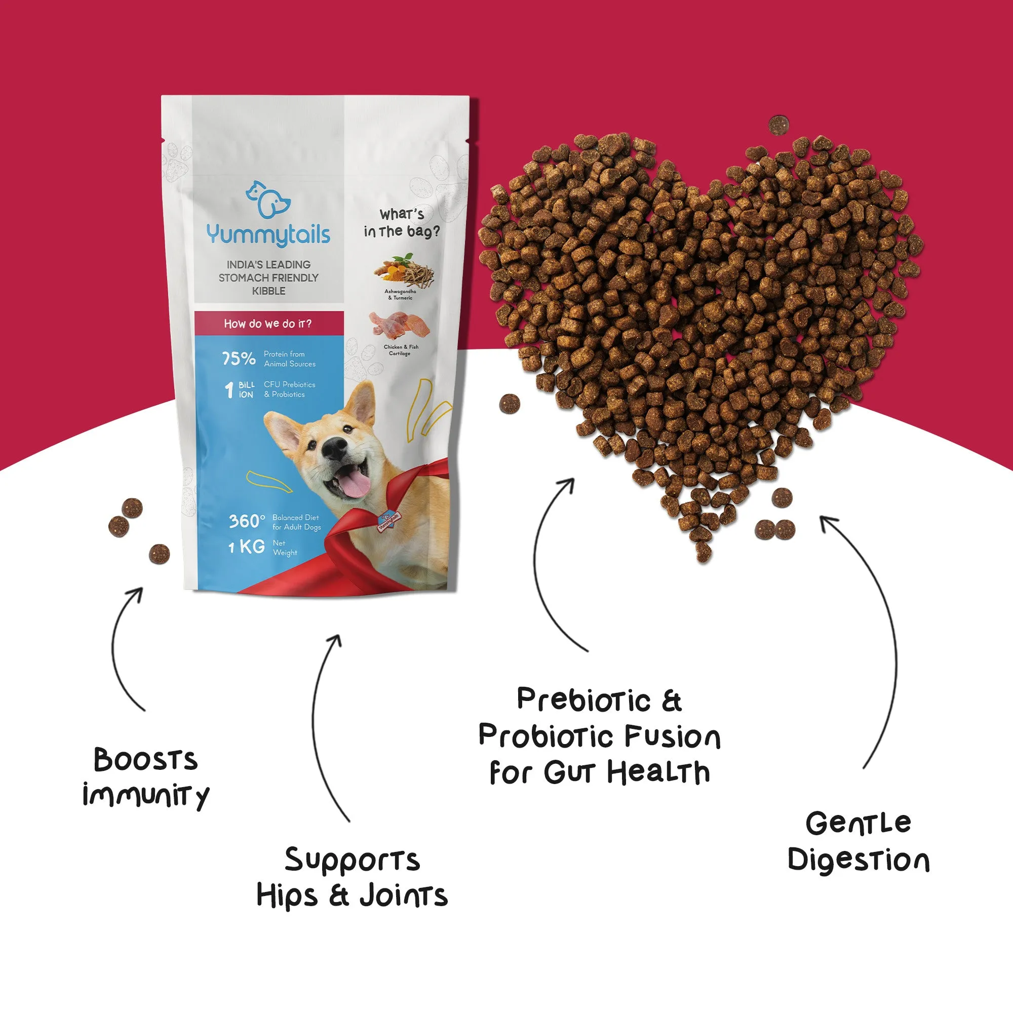 Yummytails Chicken and Fish Premium Adult Medium and Large Dog Dry Food